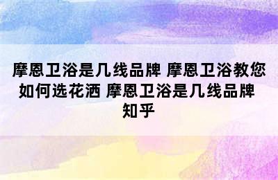 摩恩卫浴是几线品牌 摩恩卫浴教您如何选花洒 摩恩卫浴是几线品牌 知乎